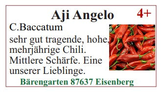Chilisamen - Aji Angelo