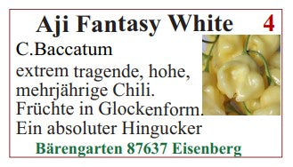 Chilisamen - Aji Fantasy White