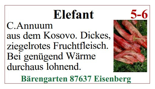 Chilisamen - Elefant
