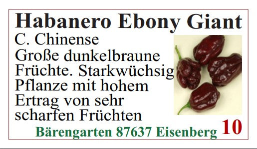 Chilisamen - Habanero EbonyGiant
