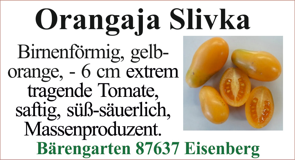 Tomaten klein - Orangaja Slivka