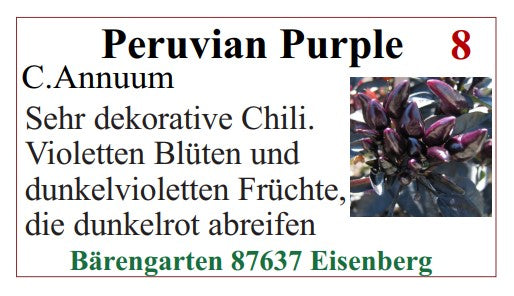 Chilisamen - Peruvian Purple