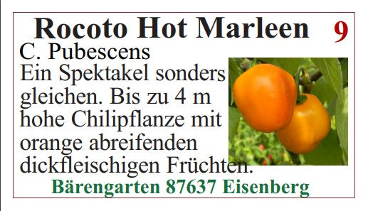 Chilisamen - Rocoto Hot Marleen