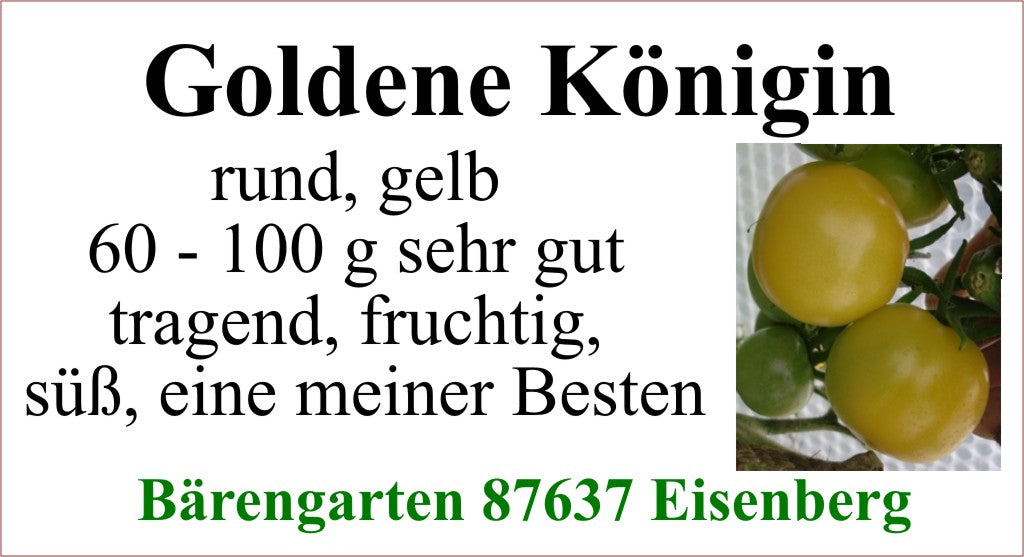 Tomaten mittel - Goldene Königin