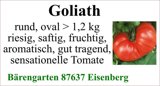 Tomaten groß - Goliath