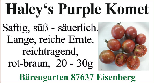 Tomaten klein - Haley's Purple Komet