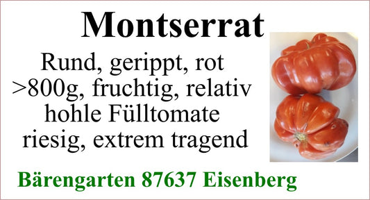 Tomaten groß - Montserrat