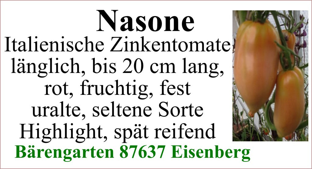 Tomaten groß - Nasone