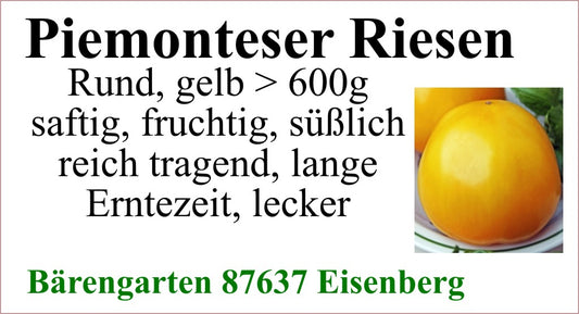 Tomaten groß - Piemonteser Riesen