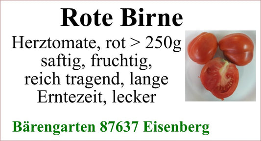 Tomaten groß - Rote Birne