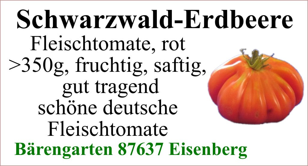 Tomaten groß - Schwarzwald-Erdbeere