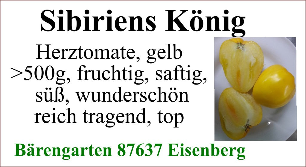 Tomaten groß - Sibiriens König