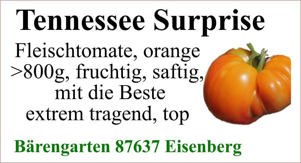 Tomaten groß - Tennessee Surprise