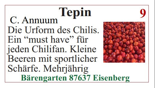 Chilisamen - Tepin