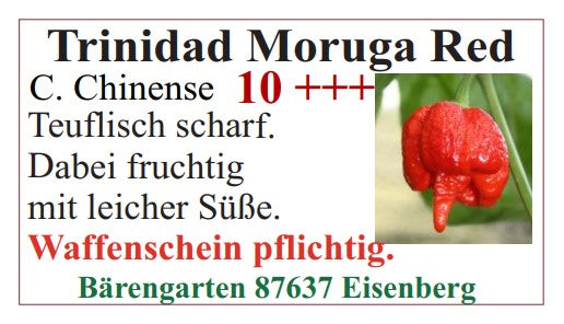 Chilisamen - Trinidad Moruga Red