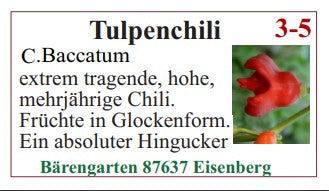 Chilisamen - Tulpenchili