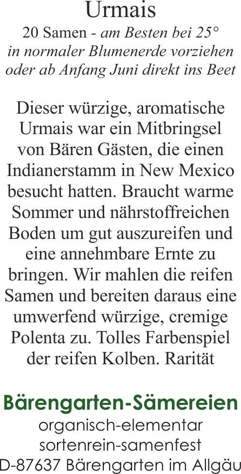 Indianischer Mais - Urmais