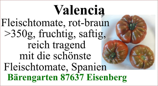 Tomaten groß - Valencia