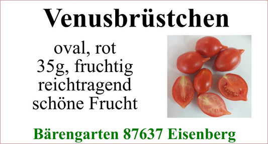 Tomaten klein - Venusbrüstchen