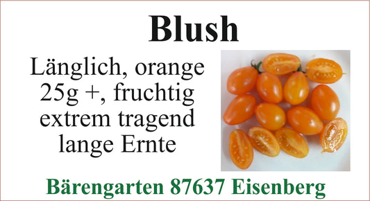 Tomaten klein - Blush