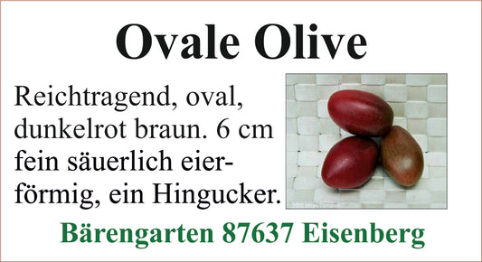 Tomaten mittel - Ovale Olive