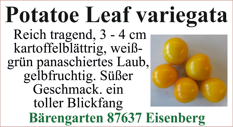 Tomaten klein - Potatoe leaf variegata