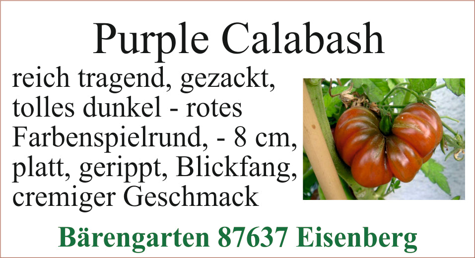 Tomaten mittel -Purple Calabash