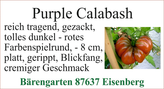 Tomaten mittel -Purple Calabash