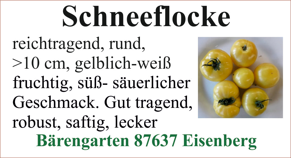 Tomaten mittel - Schneeflocke